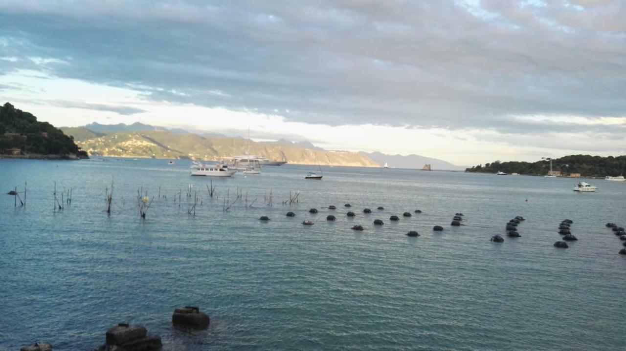 Il Nido Dei Gabbiani Villa Porto Venere Kültér fotó