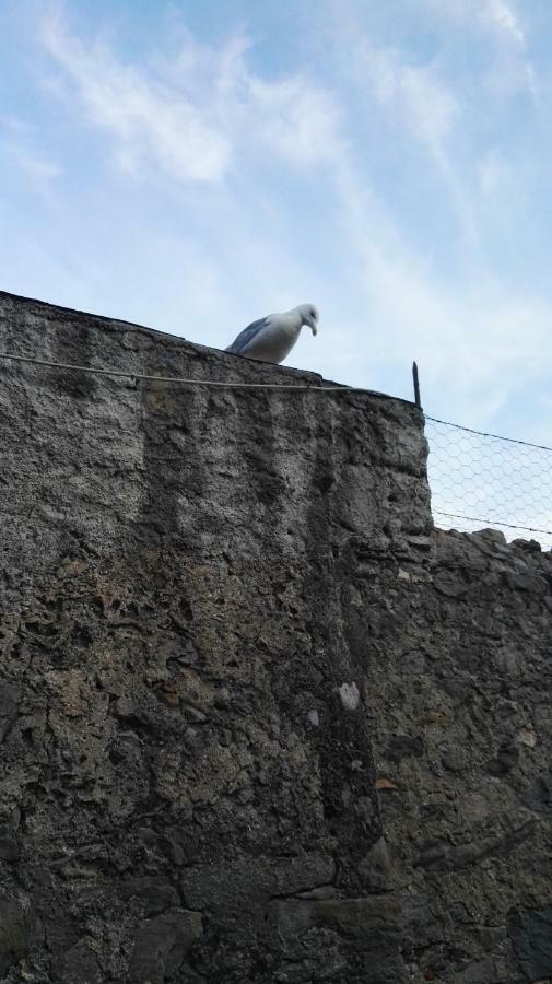 Il Nido Dei Gabbiani Villa Porto Venere Kültér fotó