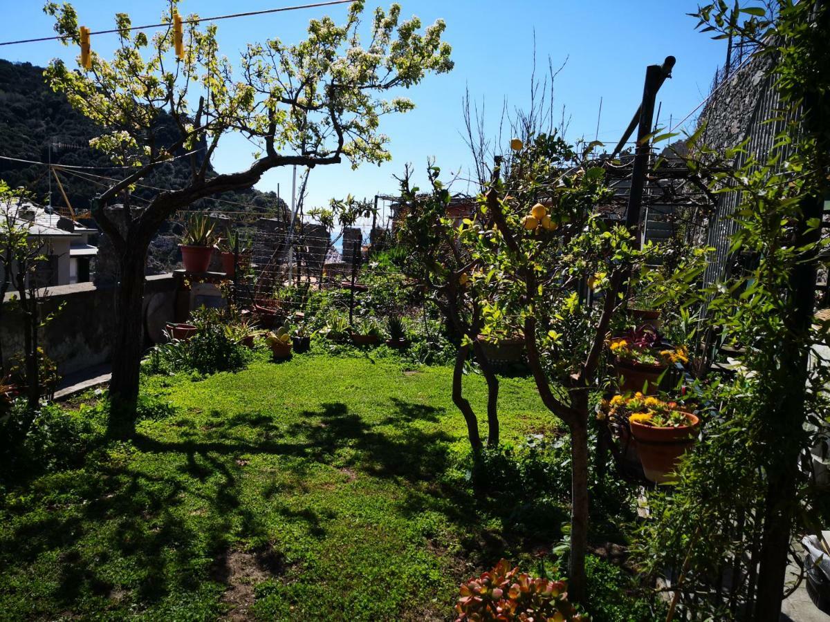 Il Nido Dei Gabbiani Villa Porto Venere Kültér fotó